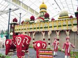 ಲಾಲ್‌ಬಾಗ್ ಪುಷ್ಪಪ್ರದರ್ಶನದಲ್ಲಿ ಮನಸೆಳೆದ ತರೇಹವಾರಿ ಹೂವುಗಳು
