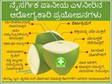 ನೈಸರ್ಗಿಕ ಪಾನೀಯ ಎಳನೀರು: ಸರ್ವರೋಗಕ್ಕೂ ಇದು ಪನ್ನೀರು..!