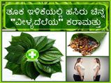 ತೂಕ ಇಳಿಕೆಯಲ್ಲಿ ಹಸಿರು ಚಿನ್ನ ವೀಳ್ಯದೆಲೆಯ ಕರಾಮತ್ತೇನು? 