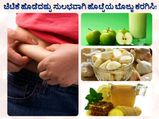 ಚಿಟಿಕೆ ಹೊಡೆದಷ್ಟು ಸುಲಭವಾಗಿ ಹೊಟ್ಟೆಯ ಬೊಜ್ಜನ್ನು ಕರಗಿಸಿಕೊಳ್ಳಿ! 