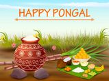 ಸ್ನೇಹ, ಪ್ರೀತಿಯ ಸಂಕೇತ ಪೊಂಗಲ್ ಹಬ್ಬದ ವೈಶಿಷ್ಟ್ಯ