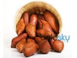 ತೂಕ ಇಳಿಸಿಕೊಳ್ಳುವ ಬಯಕೆಯೇ? ಸಿಹಿ ಗೆಣಸು ಸೇವಿಸಿ  