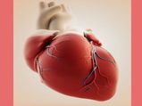 World Heart Day 2022: ಹೃದಯದ ಆರೋಗ್ಯಕ್ಕಾಗಿ ಈ ಆಹಾರಗಳನ್ನು ತ್ಯಜಿಸಿ 