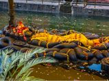 ಕಷ್ಟಗಳಿಂದ ಮುಕ್ತಿ ಪಡೆಯಲು ಗುರುವಾರ ವಿಷ್ಣುವಿನ ಪೂಜೆ ಮಾಡಿ