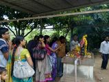ಕಾಳಸರ್ಪ ದೋಷ ನಿವಾರಣೆಗೆ-ನಾಗರ ಪಂಚಮಿಯಂದು ಹೀಗೆ ಪೂಜೆ ಮಾಡಿ 
