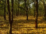 ಲುಬ್ಧಕ ಮತ್ತು ಶಿವ ದೇವರ ರೋಚಕ ಕಥೆ