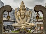 ರಾಶಿ ಚಕ್ರಕ್ಕೆ ಅನುಗುಣವಾಗಿ ಶ್ರಾವಣ ಮಾಸದಲ್ಲಿ ಶಿವನ ಪೂಜೆ ಹೀಗೆ ಮಾಡಿ 