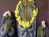 ಆಗಸ್ಟ್ 5th 2019:ನಾಗರ ಪಂಚಮಿ ಹಬ್ಬದ ವಿಶೇಷ: ನೀವು ತಿಳಿಯಲೇಬೇಕಾದ ಸಂಗತಿಗಳು   