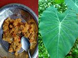 ಪತ್ರೊಡೆ, ಕೆಸುವಿನ ಎಲೆಯ ಗೊಜ್ಜು ತಿಂದ್ರೆ ಎಷ್ಟೊಂದು ಒಳ್ಳೆಯದು ಗೊತ್ತಾ?