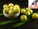 ಮಧುಮೇಹ ನಿಯಂತ್ರಣಕ್ಕೆ ನೆಲ್ಲಿಕಾಯಿ ಹೇಗೆ ಬಳಸಬೇಕು?