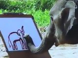 ವೈರಲ್‌ ವೀಡಿಯೋ: ಆನೆಯೊಂದು  ಬಿಡಿಸಿದ ಆನೆಯ ಚಿತ್ರ ನೋಡಣ್ಣಾ...