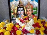 ದೇವಾನುದೇವತೆಗಳಿಗೆ ನೆಚ್ಚಿನ ಹೂಗಳು ಇದೆ ನೋಡಿ