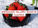 ಚಳಿಗಾಲದಲ್ಲಿ ಸ್ಟ್ರಾಬೆರ್ರಿ ತಿಂದರೆ  ದೊರೆಯುವ ಪ್ರಯೋಜನಗಳು
