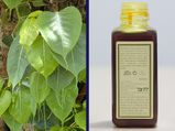 Beauty tips: ಕೇರಳಿಗರ ಹೊಳೆಯುವ ತ್ವಚೆಯ ಸೀಕ್ರೆಟ್‌ ನಲ್ಪಮರಡಿ ತೈಲದ ಬಗ್ಗೆ ನಿಮಗೆಷ್ಟು ಗೊತ್ತು? 