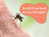 ಕೆಲವರಿಗೆ ಸೊಳ್ಳೆ ಟಾರ್ಗೆಟ್‌ ಮಾಡಿದಂತೆ ತುಂಬಾ ಕಚ್ಚುತ್ತೆ, ಏಕೆ ಗೊತ್ತಾ?
