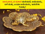 ವಾಸ್ತುಶಾಸ್ತ್ರದ ಪ್ರಕಾರ ಮನೆಯಲ್ಲಿ ಆಮೆಯನ್ನು ಏಕೆ ಮತ್ತು ಎಂಥಾ ಆಮೆಯನ್ನು ಇಡಬೇಕು ಗೊತ್ತಾ?