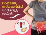ಅಂಡೋತ್ಪತ್ತಿ ಸಮಸ್ಯೆ: ಮಹಿಳೆಯರು  ಸಂತಾನೋತ್ಪತ್ತಿ ಸಾಮರ್ಥ್ಯ ಕಾಪಾಡಲು ಏನು ಮಾಡಬೇಕು?