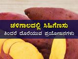  ಚಳಿಗಾಲದಲ್ಲಿ ಸಿಹಿಗೆಣಸು ತಿನ್ನಬೇಕು ಎನ್ನುವುದು ಈ ಕಾರಣಕ್ಕೆ ನೋಡಿ