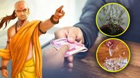 ಲಕ್ಷ್ಮಿ ನಿಮ್ಮ ಮನೆಯನ್ನು ಬಿಟ್ಟು ಹೋಗುತ್ತಿದ್ದಾಳೆ ಎಂದು ಸೂಚಿಸುವ ಲಕ್ಷಣಗಳಿವು! 