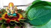 ಪ್ರತಿ ಪೂಜೆಯಲ್ಲೂ ವೀಳ್ಯದೆಲೆಯನ್ನು ಬಳಕೆ ಮಾಡೋದ್ಯಾಕೆ ಗೊತ್ತಾ? 