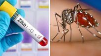  ಕರ್ನಾಟಕದಲ್ಲಿ ಝಿಕಾ ವೈರಸ್‌ ಭೀತಿ:  ರೋಗ ತಡೆಗಟ್ಟಲು ಈ ಮುನ್ನೆಚ್ಚರಿಕೆವಹಿಸಿ