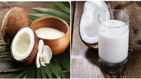 ತೆಂಗಿನಕಾಯಿ  ಹಾಲು ಹೀಗೆ ತೆಗೆದರೆ ತೆಗೆಯುವುದು ತುಂಬಾ ಸುಲಭ, ತಿಂಗಳವರೆಗೆ ಇಟ್ಟು ಬಳಸಬಹುದು