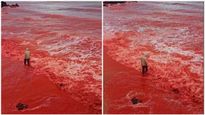 ಕಡು ಕೆಂಪು ಬಣ್ಣಕ್ಕೆ ತಿರುಗಿದ ಇರಾನ್ ಸಮುದ್ರ..! ವಿಡಿಯೋ ನೋಡಿದರೆ ಅಚ್ಚರಿ ಆಗೋದು ಖಚಿತ