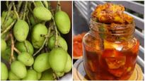 ಬಾಯಿ ಚಪ್ಪರಿಸಿ ಸವಿಯುವ ಮಾವಿನಮಿಡಿ ಉಪ್ಪಿನಕಾಯಿ: ಮನೆಯಲ್ಲೇ ಮಾಡುವ ವಿಧಾನ!