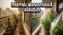 ದೆಹಲಿ-ಎನ್‌ಸಿಆರ್‌ನಲ್ಲಿ ಧೂಳಿನ ಬಿರುಗಾಳಿ ಅಬ್ಬರ: ನಿಮ್ಮ ಬಾಲ್ಕನಿ ಗಾರ್ಡನ್ ಮತ್ತು ಮನೆಯನ್ನು ರಕ್ಷಿಸಿಕೊಳ್ಳುವುದು ಹೇಗೆ?