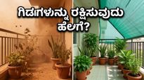 ಬಿರುಗಾಳಿ ಮತ್ತು ಬಿಸಿಲ ಬೇಗೆ: ನಿಮ್ಮ ಮನೆ ಮತ್ತು ಗಿಡಗಳನ್ನು ರಕ್ಷಿಸಿಕೊಳ್ಳುವುದು ಹೇಗೆ?