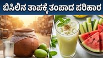 ಭಾರತದಲ್ಲಿ ಸುಡುವ ಬಿಸಿಲು: ಹೀಟ್ ವೇವ್‌ನಿಂದ ಪಾರಾಗಲು ಇಲ್ಲಿವೆ ಬೆಸ್ಟ್ ಡಯಟ್ ಮತ್ತು ಹೈಡ್ರೇಶನ್ ಟಿಪ್ಸ್!
