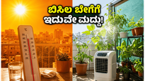 ಹೀಟ್‌ವೇವ್ ಎಚ್ಚರಿಕೆ: ಸುಡುವ ಬಿಸಿಲಲ್ಲೂ ನಿಮ್ಮ ಮನೆಯನ್ನು ತಂಪಾಗಿಡಲು ಮತ್ತು ಗಿಡಗಳನ್ನು ಉಳಿಸಲು ಈ ಟಿಪ್ಸ್ ಸಾಕು!