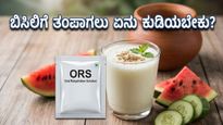 ಹೀಟ್‌ವೇವ್ ಎಫೆಕ್ಟ್: ಸುಡುವ ಬಿಸಿಲಿಗೆ ತಂಪಾಗಲು ಮಜ್ಜಿಗೆ, ಎಳನೀರು ಸಾಕಾ? ಇಲ್ಲಿದೆ ಆರೋಗ್ಯದ ಗುಟ್ಟು