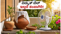 ಬಿಸಿಲ ಬೇಗೆಯಿಂದ ತತ್ತರಿಸಿದ್ದೀರಾ? ವಿದ್ಯುತ್ ಬಿಲ್ ಇಲ್ಲದೆ ಮನೆಯನ್ನು ತಂಪಾಗಿಡಲು ಇಲ್ಲಿದೆ ಮ್ಯಾಜಿಕ್ ಟಿಪ್ಸ್!