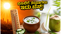 ಬಿಸಿಲ ಬೇಗೆಗೆ ರೆಡ್ ಅಲರ್ಟ್: ಹೀಟ್ ಸ್ಟ್ರೋಕ್‌ನಿಂದ ಪಾರಾಗಲು ಈ ಮನೆಮದ್ದುಗಳನ್ನು ಇಂದೇ ಟ್ರೈ ಮಾಡಿ!
