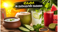 ಸುಡುವ ಬಿಸಿಲಿಗೆ ಹವಾಮಾನ ಇಲಾಖೆ ಎಚ್ಚರಿಕೆ: ದೇಹ ತಂಪಾಗಿಡಲು ಈ ಪಾನೀಯಗಳೇ ರಾಮಬಾಣ!