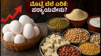 ಬೆಂಗಳೂರಿನಲ್ಲಿ ಮೊಟ್ಟೆ ಬೆಲೆ ಏರಿಕೆ: ಬಜೆಟ್ ಉಳಿಸಲು ಇಲ್ಲಿದೆ ಬೆಸ್ಟ್ ಪ್ರೋಟೀನ್ ಆಯ್ಕೆಗಳು!
