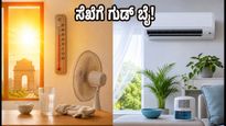 ದೆಹಲಿಯ ಸೆಖೆ ಮತ್ತು ಆರ್ದ್ರತೆ: ಕರೆಂಟ್ ಬಿಲ್ ಉಳಿಸಿ, ಮನೆಯನ್ನು ತಂಪಾಗಿರಿಸುವ ಸ್ಮಾರ್ಟ್ ಟಿಪ್ಸ್!