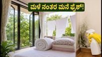 ಮಳೆ ನಂತರ ದೆಹಲಿ-ಎನ್‌ಸಿಆರ್‌ನಲ್ಲಿ ಶುದ್ಧ ಗಾಳಿ: ನಿಮ್ಮ ಮನೆಯನ್ನು ಫ್ರೆಶ್ ಆಗಿಡಲು ಈ ಸರಳ ಟಿಪ್ಸ್ ಪಾಲಿಸಿ!