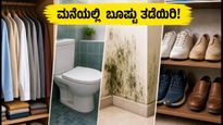 ಮಳೆಗಾಲದಲ್ಲಿ ಮನೆಯಲ್ಲಿ ಬೂಷ್ಟು ಹರಡುತ್ತಿದೆಯೇ? ಈ 20 ನಿಮಿಷದ ಟಿಪ್ಸ್ ಪಾಲಿಸಿ, ಮನೆ ಫ್ರೆಶ್ ಆಗಿಡಿ!
