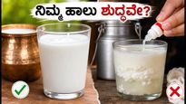 ಹಾಲಿನಲ್ಲಿ ವಿಷಕಾರಿ ಕಲಬೆರಕೆ ಪತ್ತೆ: ನಿಮ್ಮ ಮನೆಯ ಹಾಲಿನ ಸುರಕ್ಷತೆ ಪರೀಕ್ಷಿಸುವುದು ಹೇಗೆ?