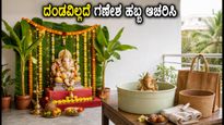 ಅಪಾರ್ಟ್‌ಮೆಂಟ್‌ನಲ್ಲಿ ಪರಿಸರ ಸ್ನೇಹಿ ಗಣೇಶ ಹಬ್ಬ: ದಂಡ ತಪ್ಪಿಸಿ, ಸುಲಭವಾಗಿ ವಿಸರ್ಜನೆ ಮಾಡುವುದು ಹೇಗೆ?