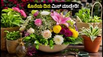 ಲಾಲ್‌ಬಾಗ್ ಫಲಪುಷ್ಪ ಪ್ರದರ್ಶನ: ಕೊನೆಯ ದಿನದ ಸಂಭ್ರಮ ಮತ್ತು ಮನೆಯನ್ನು ಸಿಂಗರಿಸುವ ಸುಲಭ ಟಿಪ್ಸ್