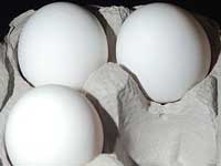 Egg duniya Egg duniya