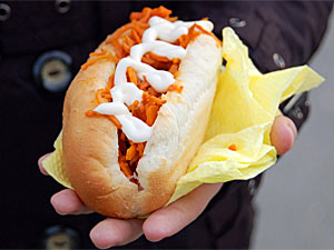 Pregnancy Diet Pregnancy Diet