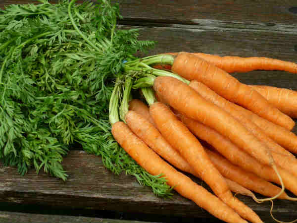 1. ಗೆಡ್ಡೆ: 