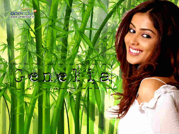 ಲಾಂಗ್ ಫೆದರ್ ಕಟ್: 