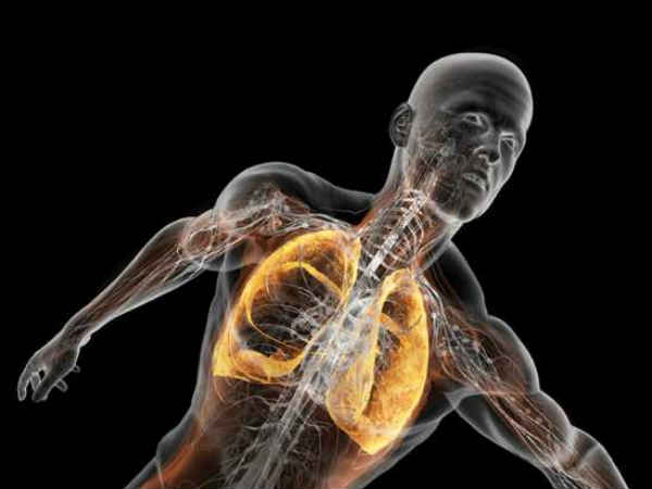 ಮನುಷ್ಯನಿಗೆ ಆಹಾರ ನುಂಗುವಾಗ ಉಸಿರಾಡಲು ಸಾಧ್ಯವಾಗುವುದಿಲ್ಲ