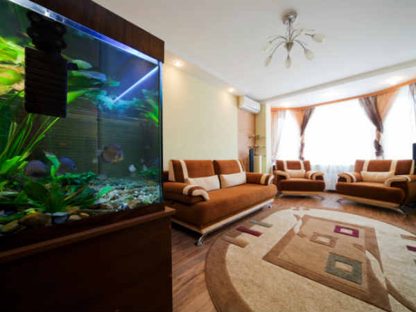 ಮನೆ ಅಲಂಕಾರ: 