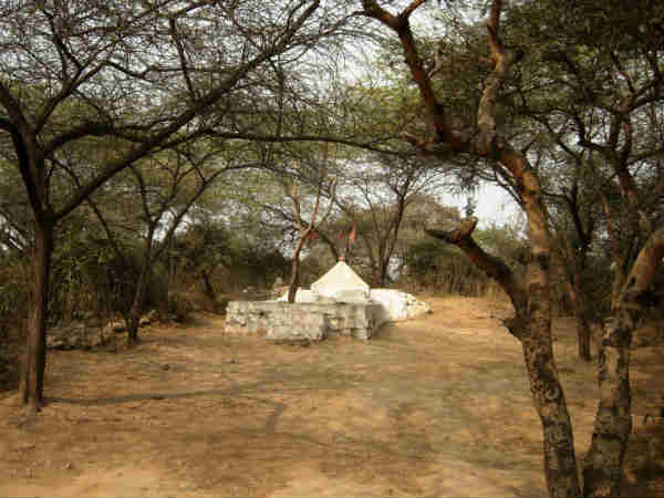 4. ಸಂಜಯ್ ವನ